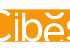 Cibes logo